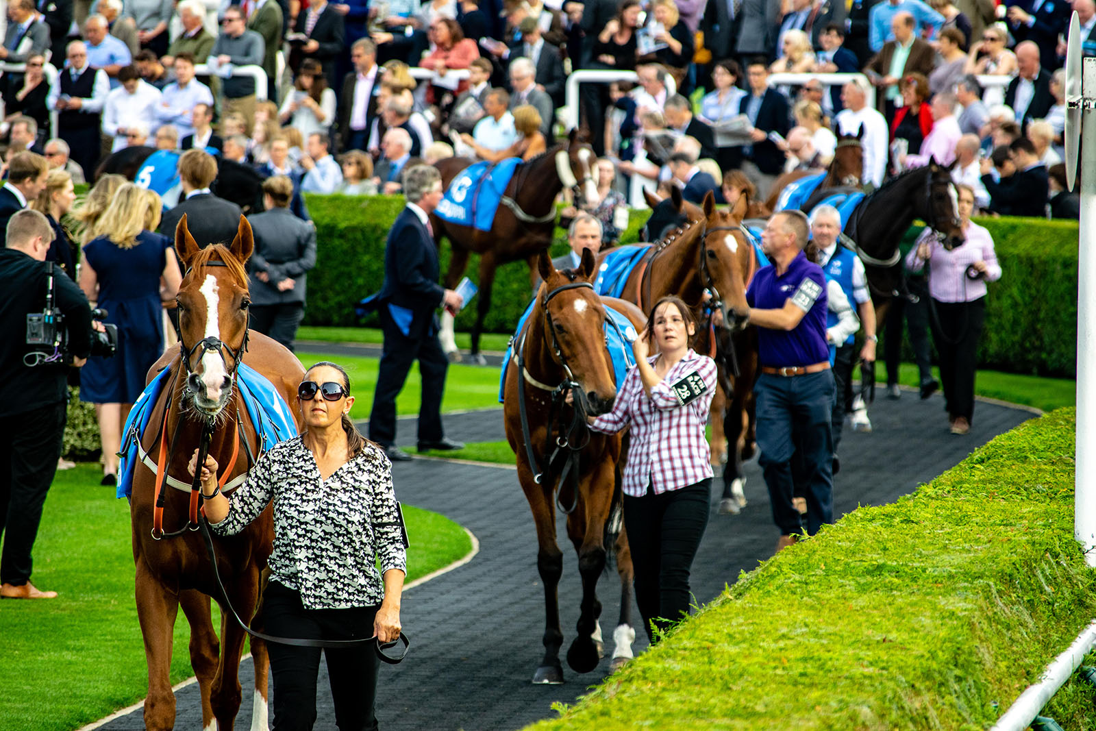 Newmarket Racecourses The Rowley Mile Newmarket Open Weekend