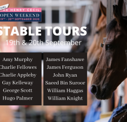 STABLE TOURS